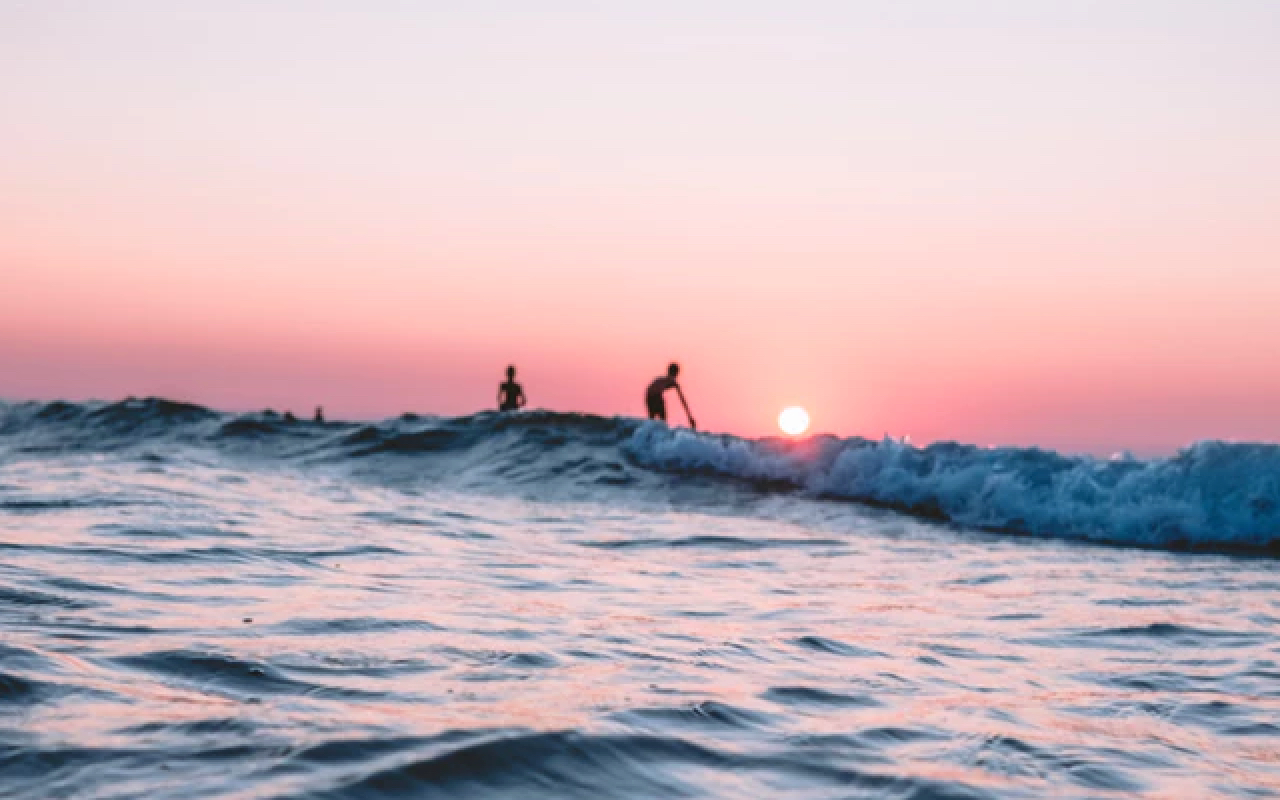 Two people surfing in front of pink horizon